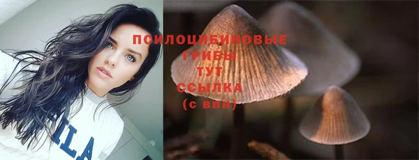крисы Армянск
